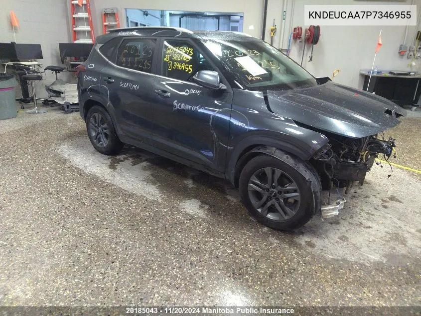 2023 Kia Seltos Ex VIN: KNDEUCAA7P7346955 Lot: 20185043