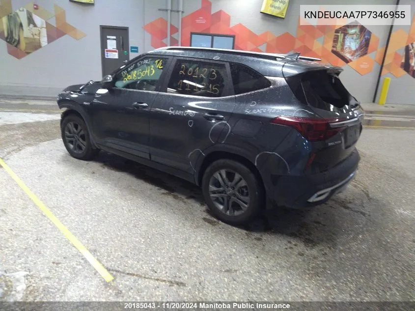 2023 Kia Seltos Ex VIN: KNDEUCAA7P7346955 Lot: 20185043