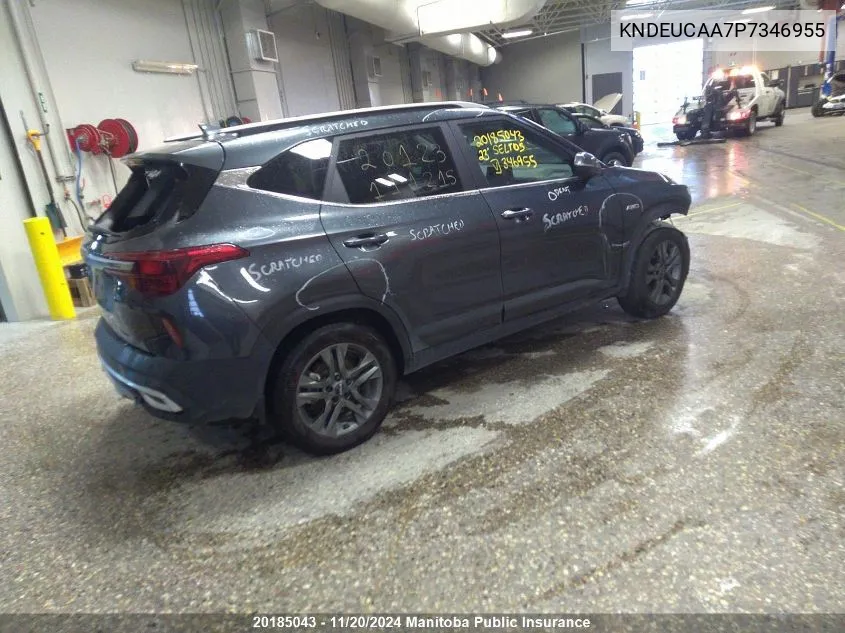 2023 Kia Seltos Ex VIN: KNDEUCAA7P7346955 Lot: 20185043