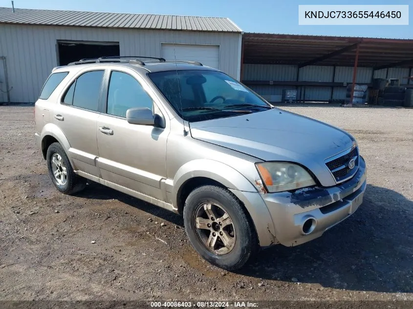 2005 Kia Sorento Ex/Lx VIN: KNDJC733655446450 Lot: 40086403