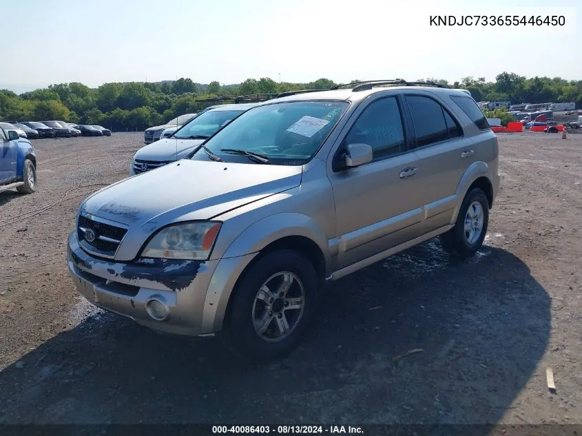 2005 Kia Sorento Ex/Lx VIN: KNDJC733655446450 Lot: 40086403