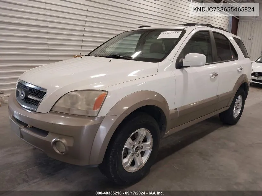 2005 Kia Sorento Ex/Lx VIN: KNDJC733655465824 Lot: 40335215