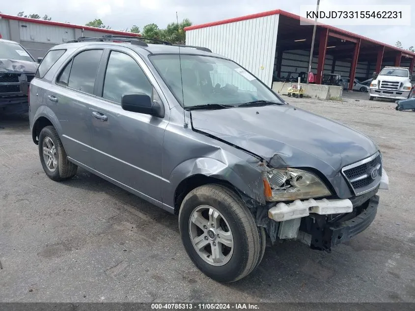 2005 Kia Sorento Ex/Lx VIN: KNDJD733155462231 Lot: 40785313