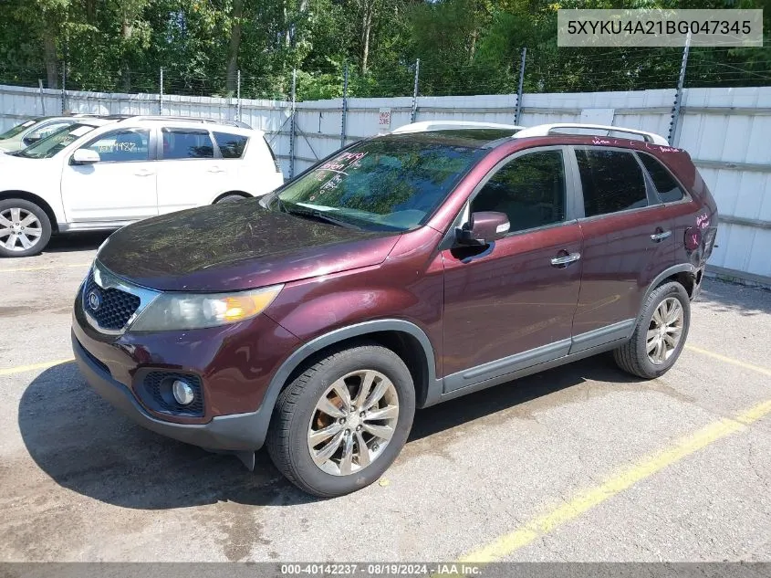 2011 Kia Sorento Ex V6 VIN: 5XYKU4A21BG047345 Lot: 40142237