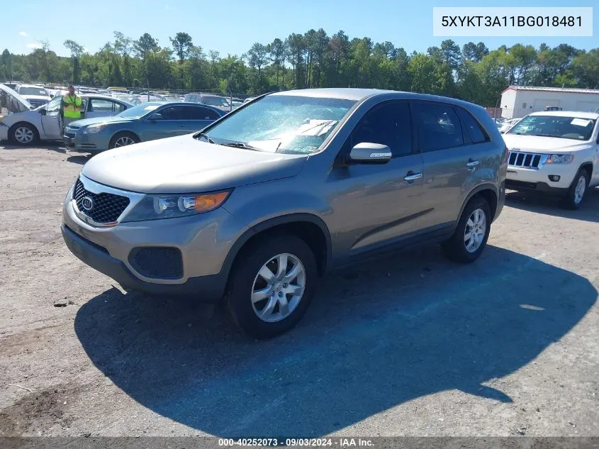 2011 Kia Sorento Lx VIN: 5XYKT3A11BG018481 Lot: 40252073