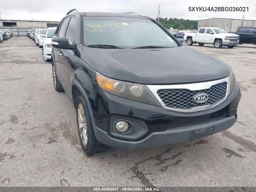 2011 Kia Sorento Ex VIN: 5XYKU4A28BG036021 Lot: 40260637