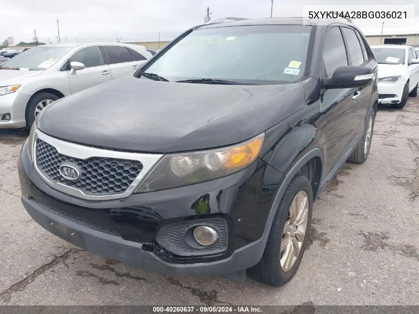 2011 Kia Sorento Ex VIN: 5XYKU4A28BG036021 Lot: 40260637