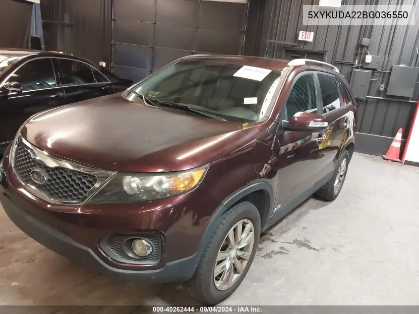 2011 Kia Sorento Ex V6 VIN: 5XYKUDA22BG036550 Lot: 40262444