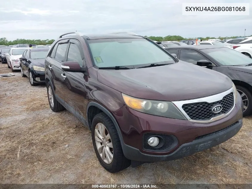 2011 Kia Sorento Ex VIN: 5XYKU4A26BG081068 Lot: 40503767