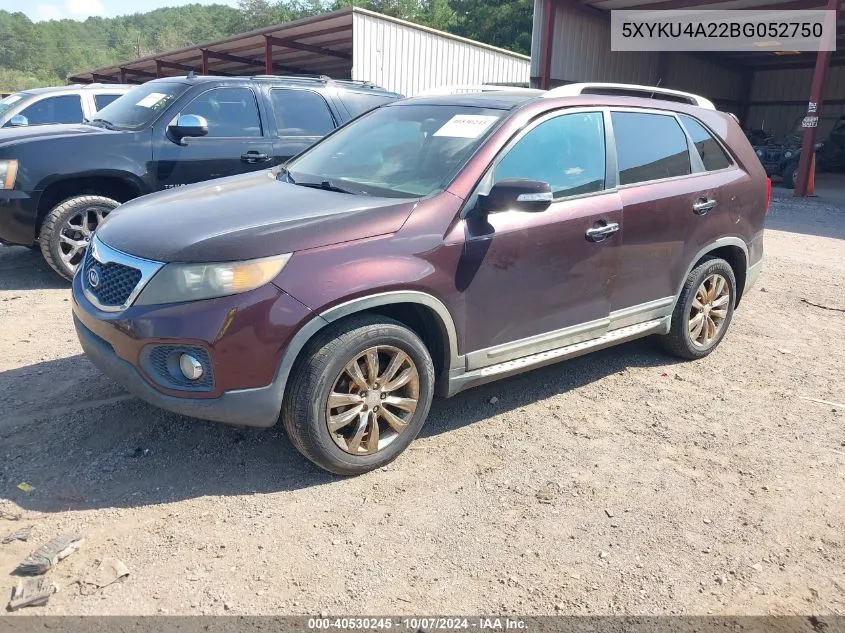 2011 Kia Sorento Ex V6 VIN: 5XYKU4A22BG052750 Lot: 40530245