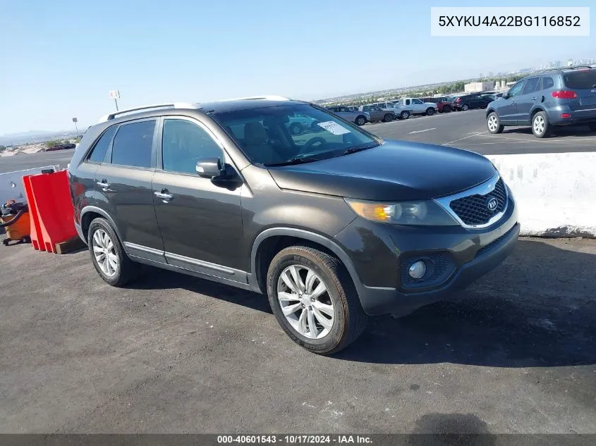 2011 Kia Sorento Ex V6 VIN: 5XYKU4A22BG116852 Lot: 40601543