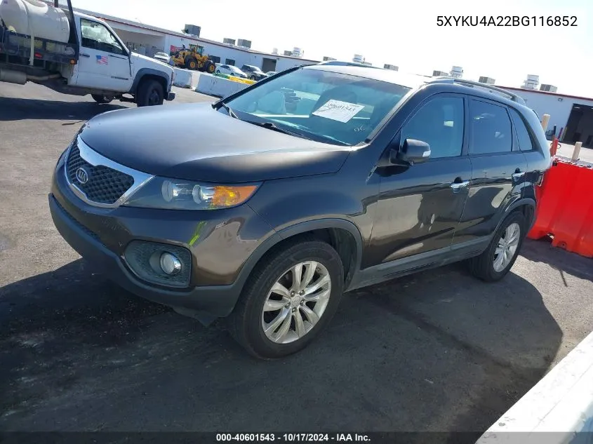 2011 Kia Sorento Ex V6 VIN: 5XYKU4A22BG116852 Lot: 40601543