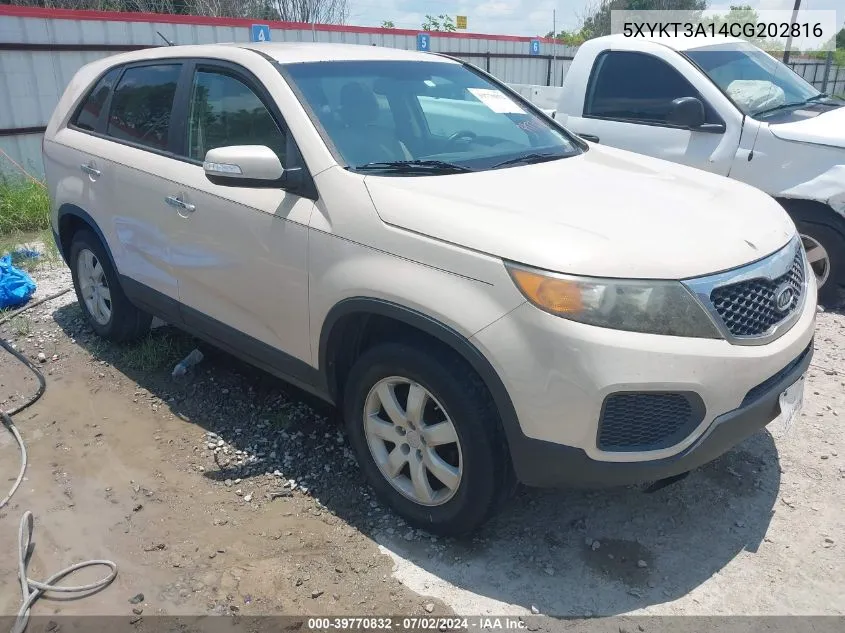 2012 Kia Sorento Lx VIN: 5XYKT3A14CG202816 Lot: 39770832