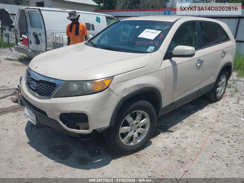 2012 Kia Sorento Lx VIN: 5XYKT3A14CG202816 Lot: 39770832