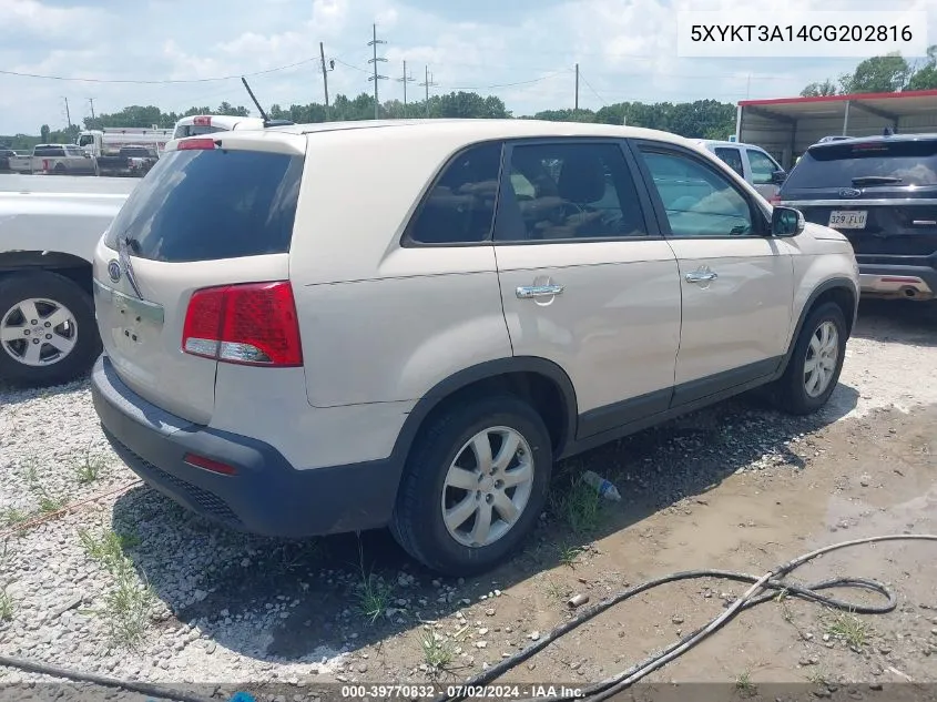 2012 Kia Sorento Lx VIN: 5XYKT3A14CG202816 Lot: 39770832