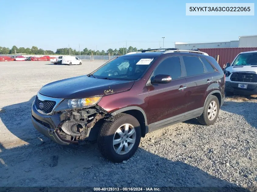 2012 Kia Sorento Lx VIN: 5XYKT3A63CG222065 Lot: 40129313