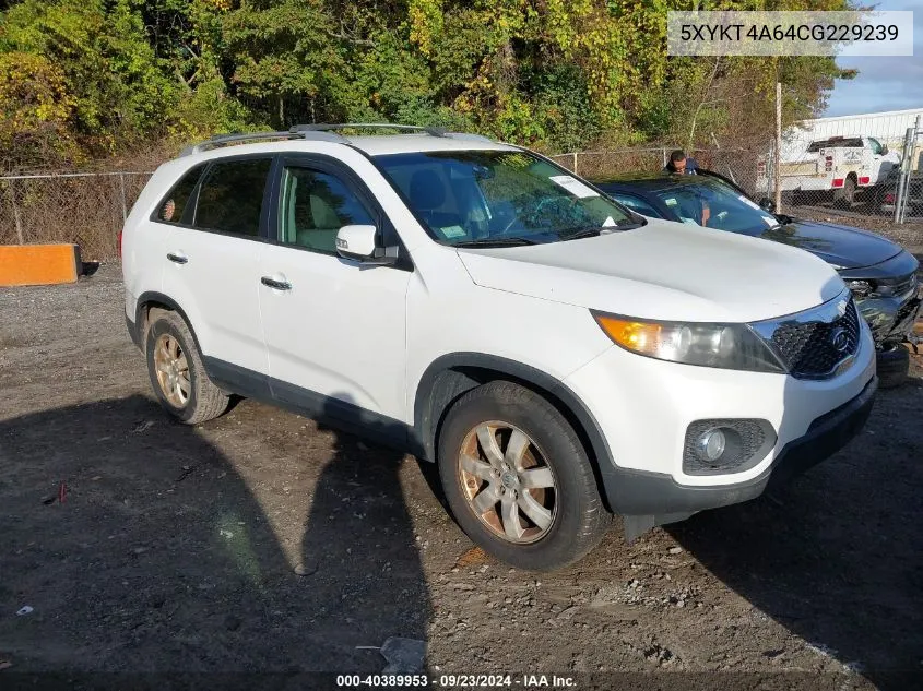 5XYKT4A64CG229239 2012 Kia Sorento Lx