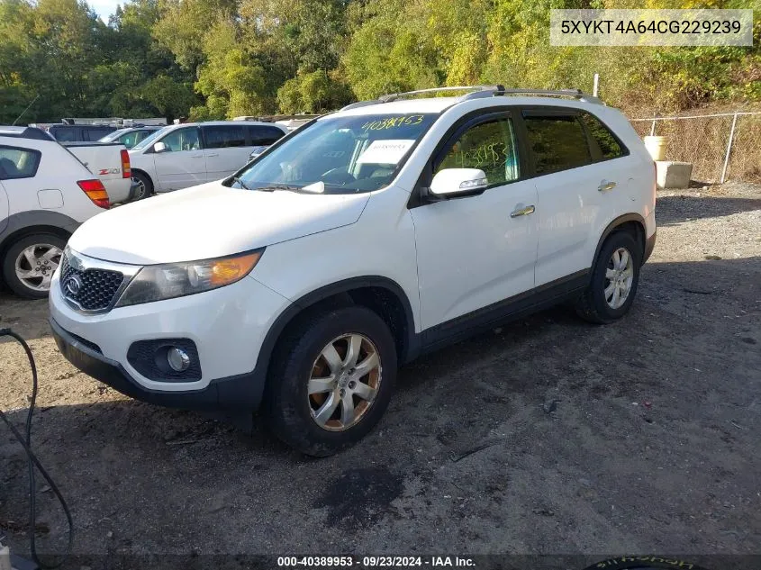 2012 Kia Sorento Lx VIN: 5XYKT4A64CG229239 Lot: 40389953