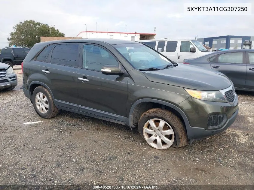 2012 Kia Sorento Lx VIN: 5XYKT3A11CG307250 Lot: 40528783