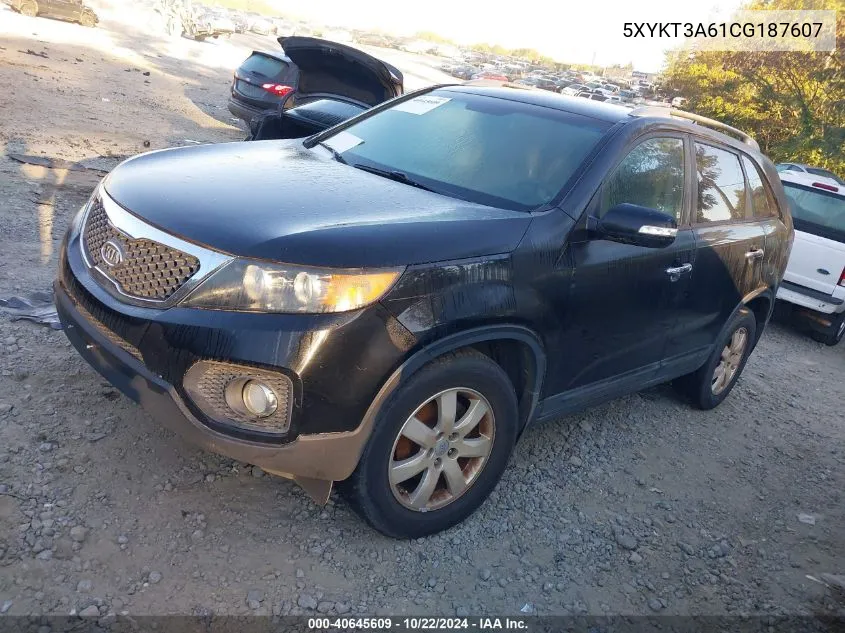 2012 Kia Sorento Lx VIN: 5XYKT3A61CG187607 Lot: 40645609