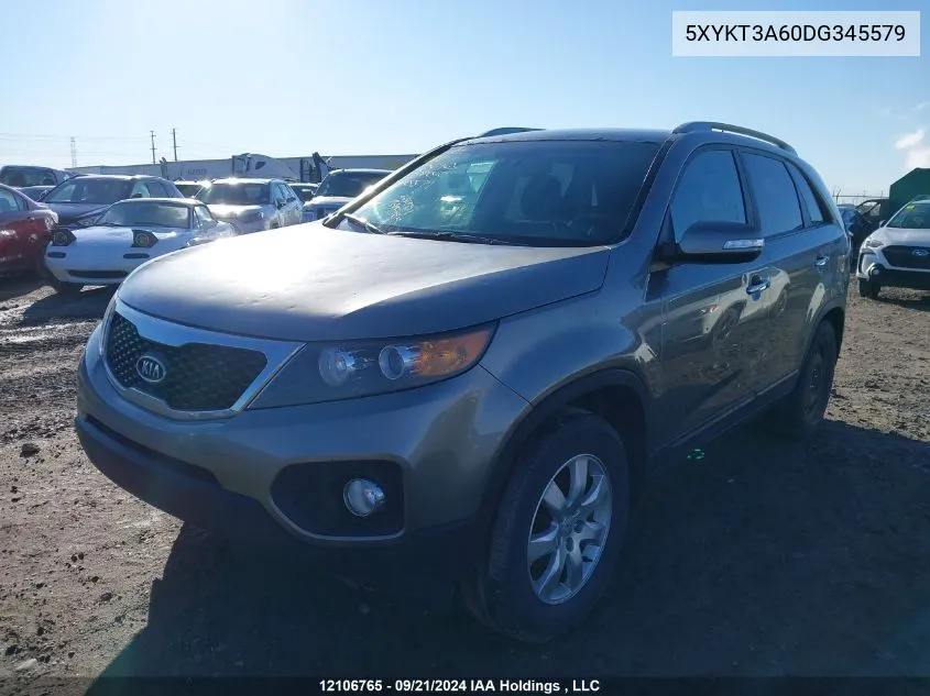 2013 Kia Sorento VIN: 5XYKT3A60DG345579 Lot: 12106765