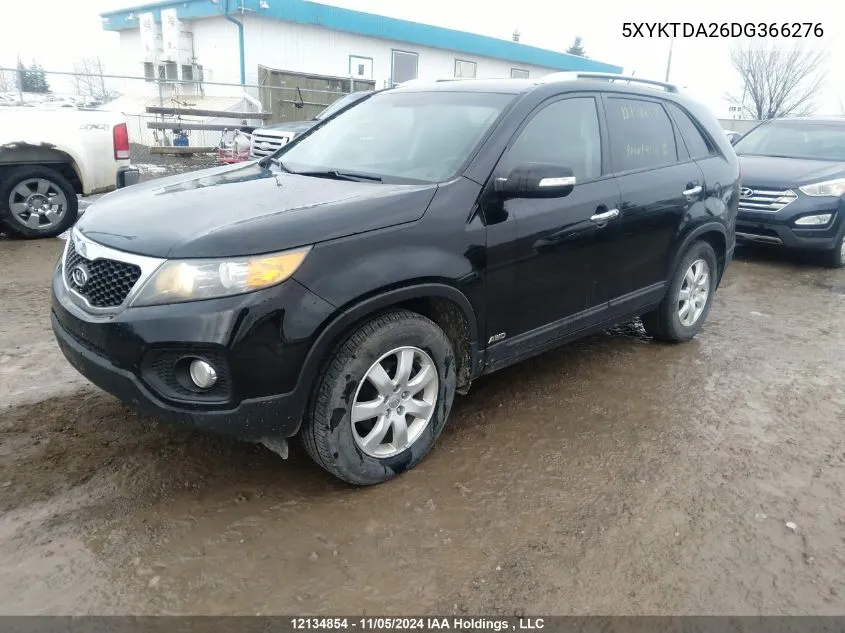 2013 Kia Sorento VIN: 5XYKTDA26DG366276 Lot: 12134854