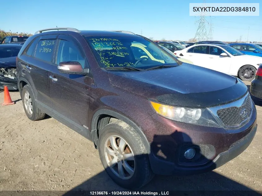 2013 Kia Sorento VIN: 5XYKTDA22DG384810 Lot: 12136676