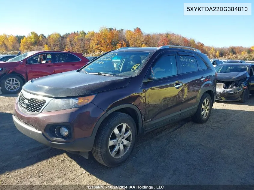 2013 Kia Sorento VIN: 5XYKTDA22DG384810 Lot: 12136676