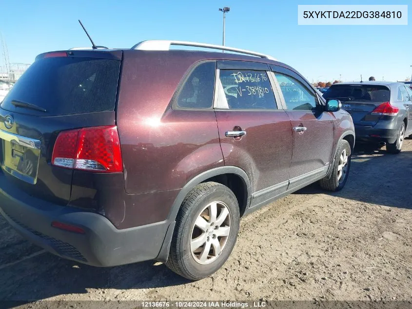 2013 Kia Sorento VIN: 5XYKTDA22DG384810 Lot: 12136676