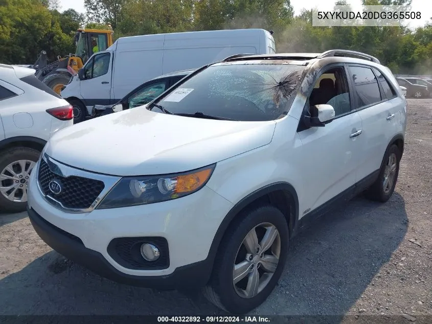 5XYKUDA20DG365508 2013 Kia Sorento Ex