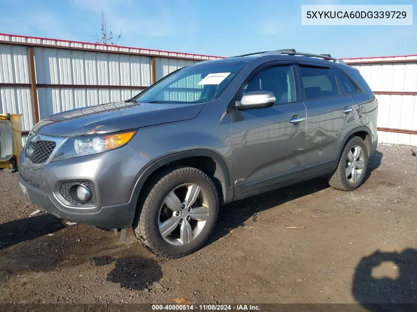 2013 Kia Sorento Ex VIN: 5XYKUCA60DG339729 Lot: 40800514