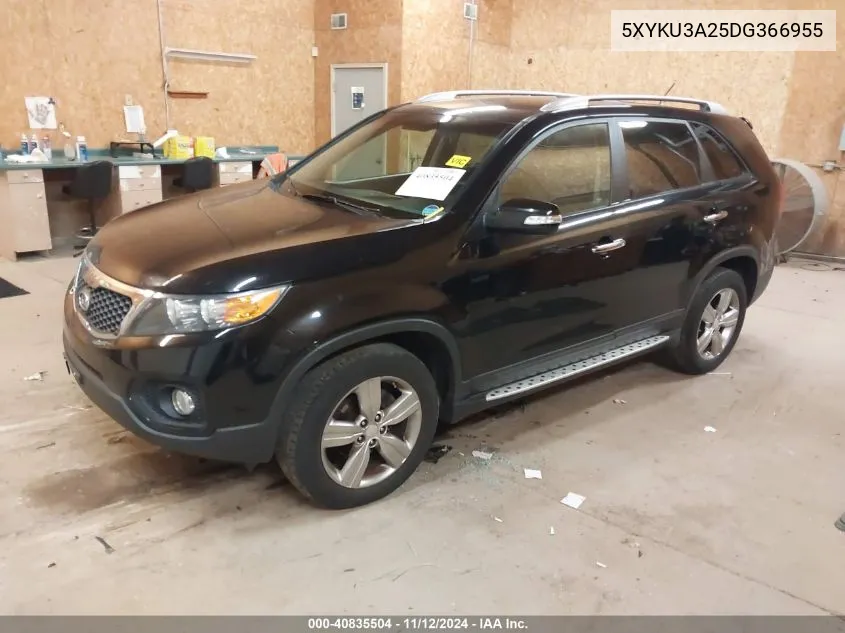 2013 Kia Sorento Ex V6 VIN: 5XYKU3A25DG366955 Lot: 40835504