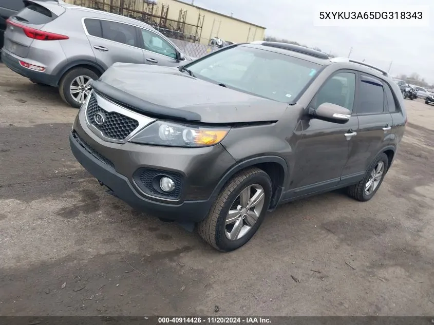 2013 Kia Sorento Ex VIN: 5XYKU3A65DG318343 Lot: 40914426