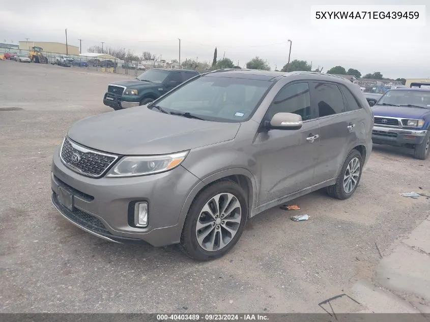 5XYKW4A71EG439459 2014 Kia Sorento Sx