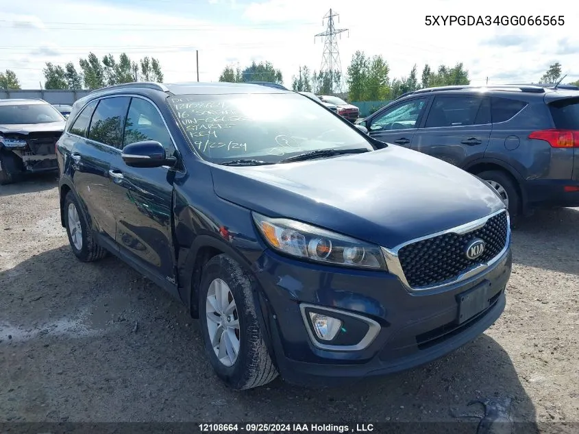 2016 Kia Sorento VIN: 5XYPGDA34GG066565 Lot: 12108664