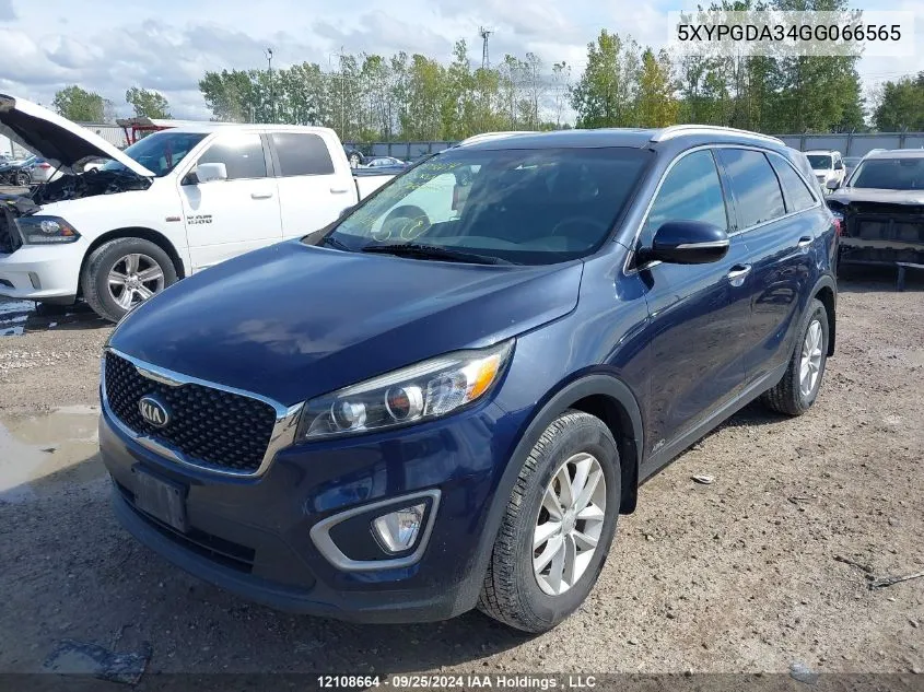 2016 Kia Sorento VIN: 5XYPGDA34GG066565 Lot: 12108664