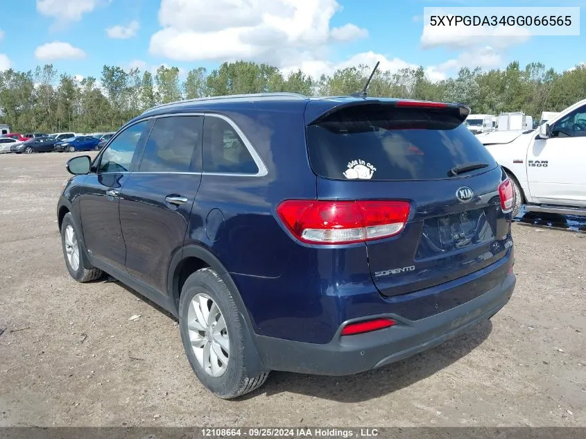 5XYPGDA34GG066565 2016 Kia Sorento