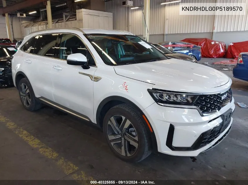 2023 Kia Sorento Ex VIN: KNDRHDLG0P5189570 Lot: 40325855