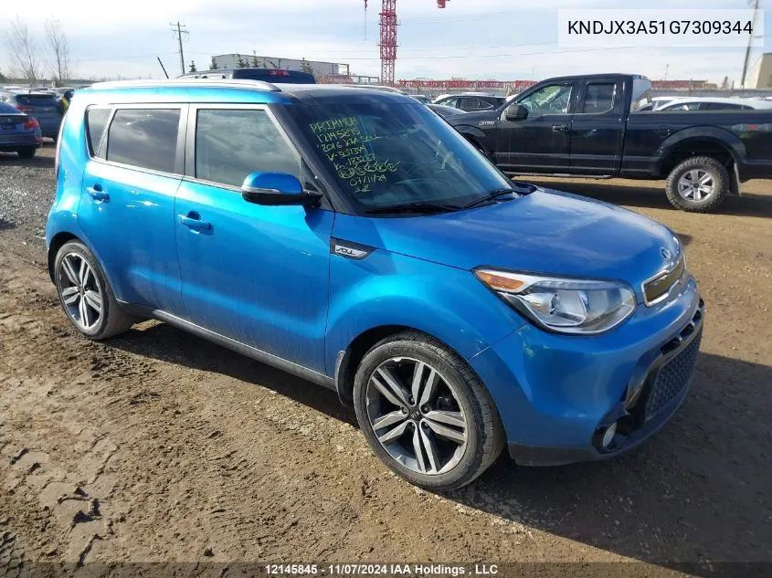 2016 Kia Soul VIN: KNDJX3A51G7309344 Lot: 12145845