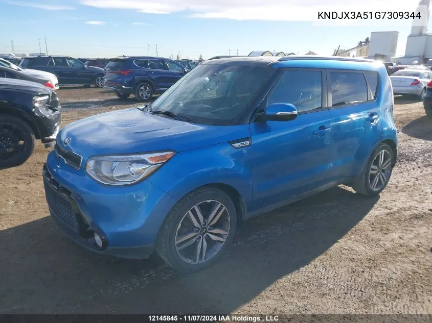 2016 Kia Soul VIN: KNDJX3A51G7309344 Lot: 12145845