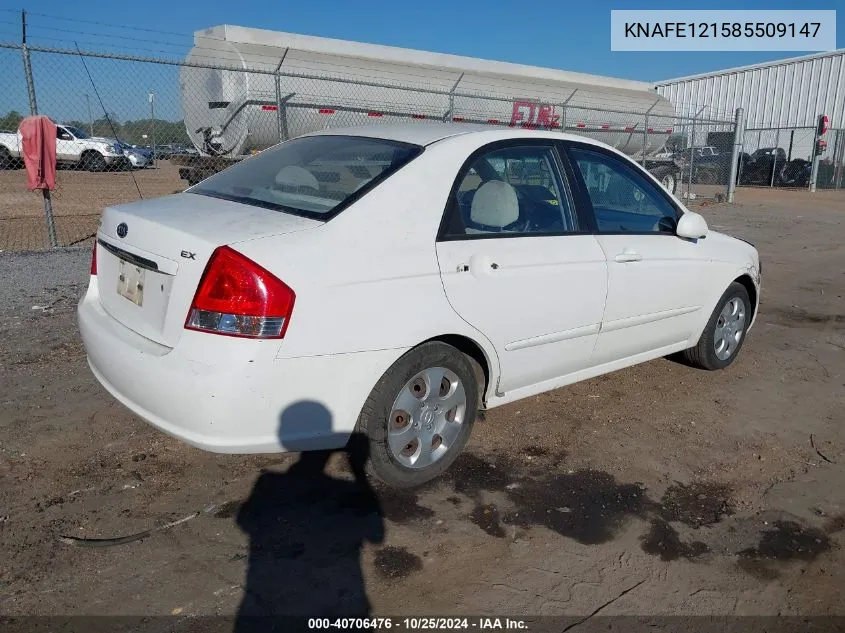 2008 Kia Spectra Ex/Lx/Sx VIN: KNAFE121585509147 Lot: 40706476