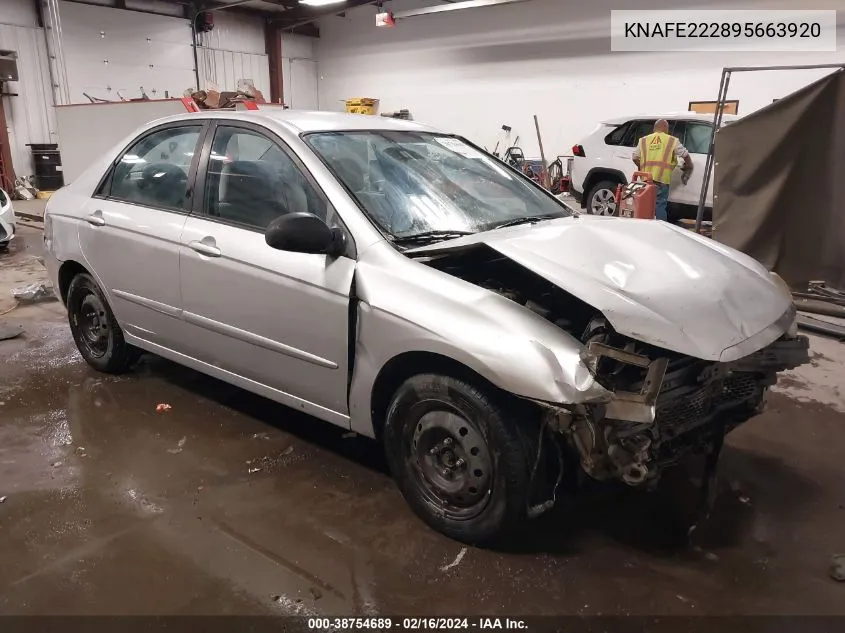 KNAFE222895663920 2009 Kia Spectra Ex