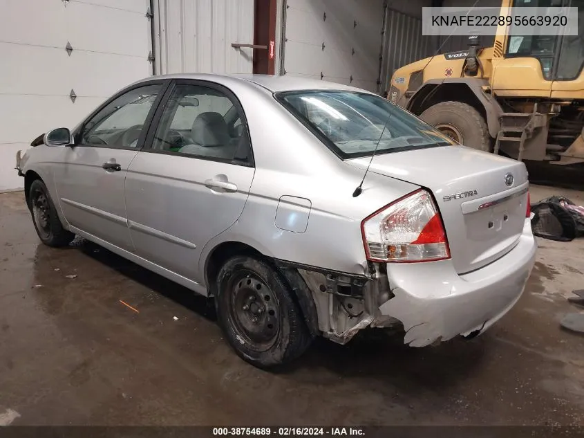 KNAFE222895663920 2009 Kia Spectra Ex