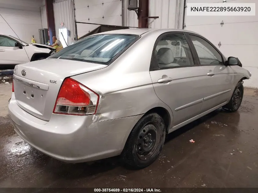 KNAFE222895663920 2009 Kia Spectra Ex