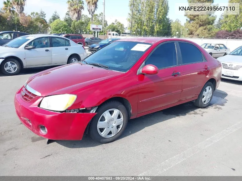 2009 Kia Spectra Ex VIN: KNAFE222495667110 Lot: 40407583