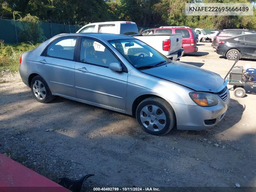 2009 Kia Spectra Ex VIN: KNAFE222695666489 Lot: 40492799