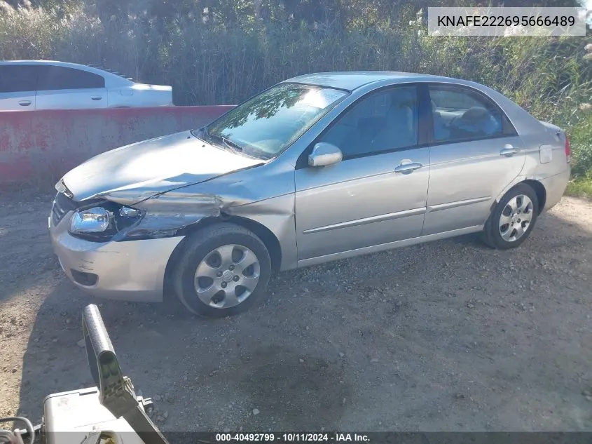 KNAFE222695666489 2009 Kia Spectra Ex