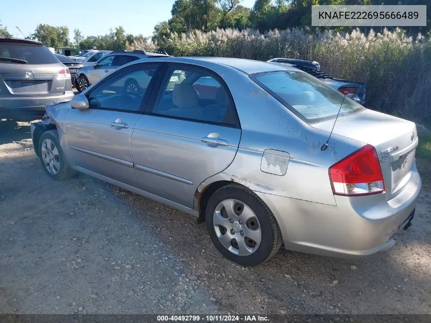 2009 Kia Spectra Ex VIN: KNAFE222695666489 Lot: 40492799