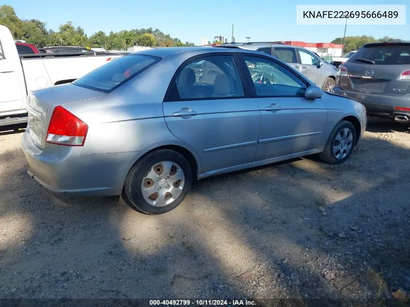 2009 Kia Spectra Ex VIN: KNAFE222695666489 Lot: 40492799