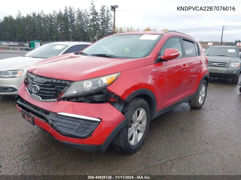 2011 Kia Sportage VIN: KNDPVCA22B7076016 Lot: 40825128